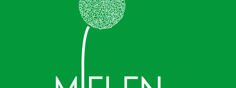 Mielen ry