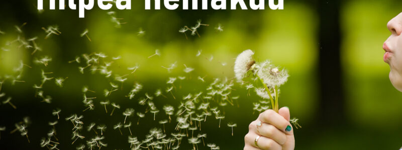 Hilpeä heinäkuu