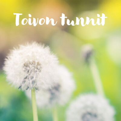 Toivon tunnit