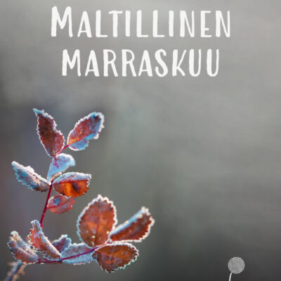 maltillinen marraskuu