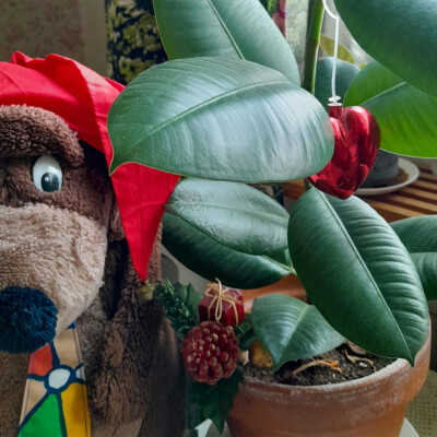 Alfredin jouluvinkit