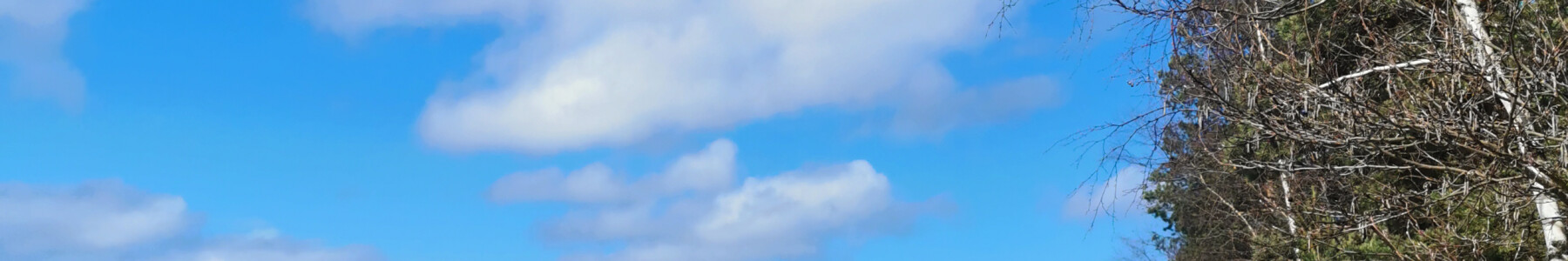 Suomen kielen päivä