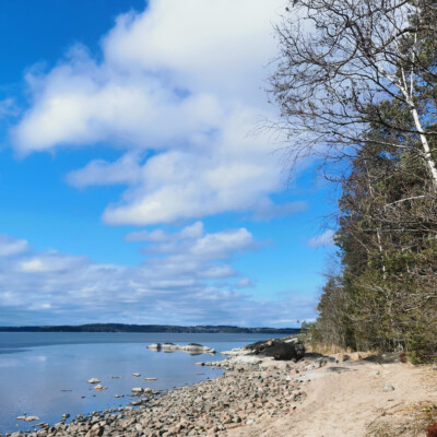 Suomen kielen päivä