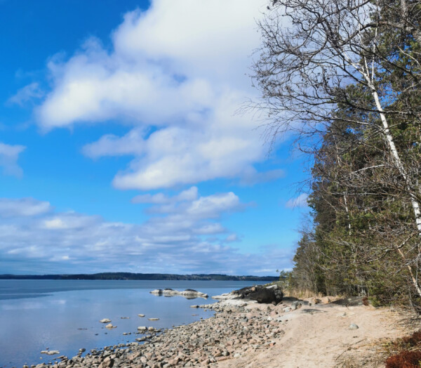 Suomen kielen päivä