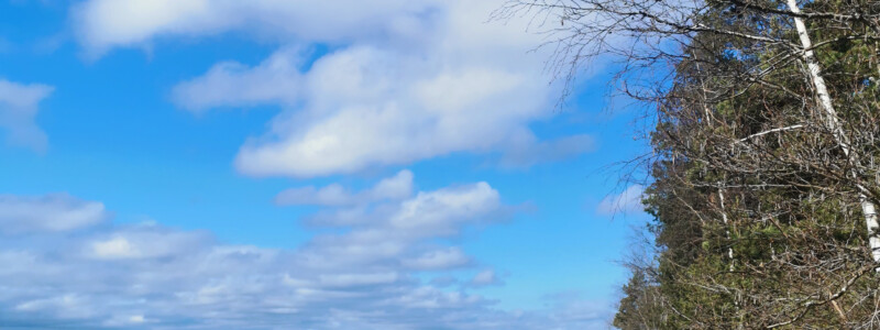 Suomen kielen päivä