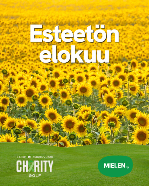 Esteetön elokuuy vastuullisusuteemana